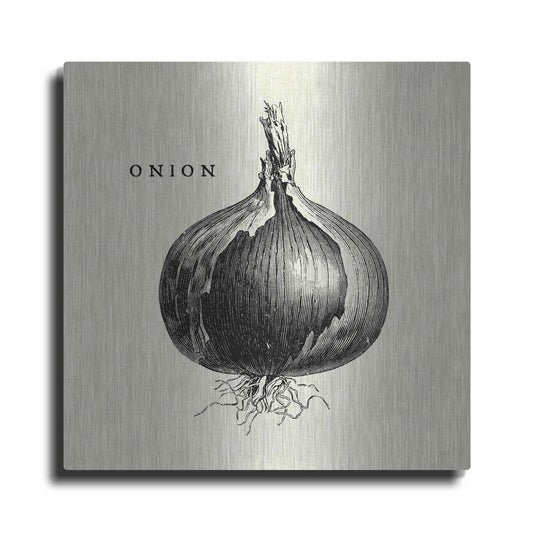 Luxe Metal Art 'Linen Vegetable BW Sketch Onion' by Studio Mousseau, Metal Wall Art