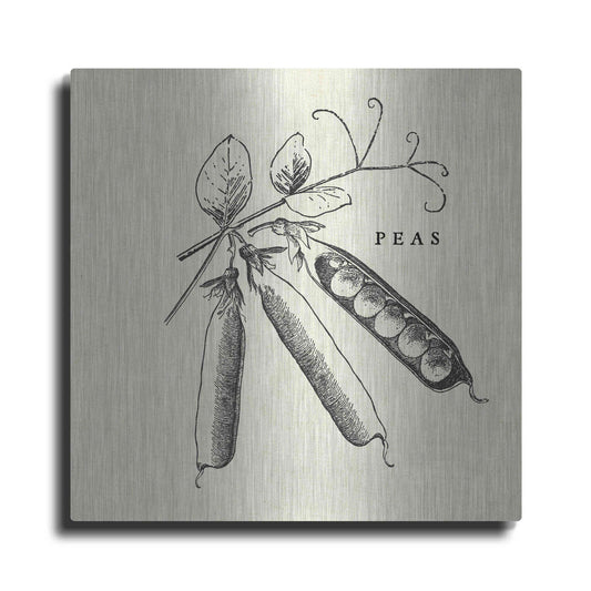 Luxe Metal Art 'Linen Vegetable BW Sketch Peas' by Studio Mousseau, Metal Wall Art