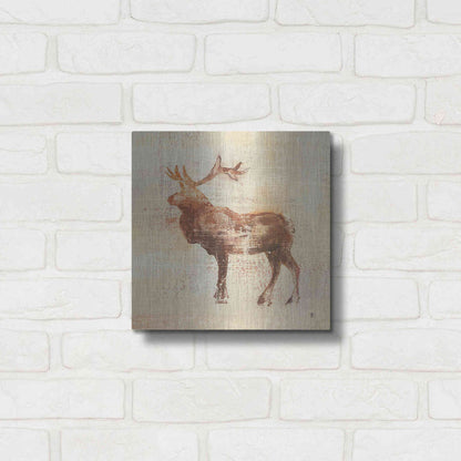 Luxe Metal Art 'Elk Study' by Studio Mousseau, Metal Wall Art,12x12