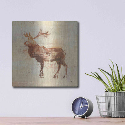 Luxe Metal Art 'Elk Study' by Studio Mousseau, Metal Wall Art,12x12