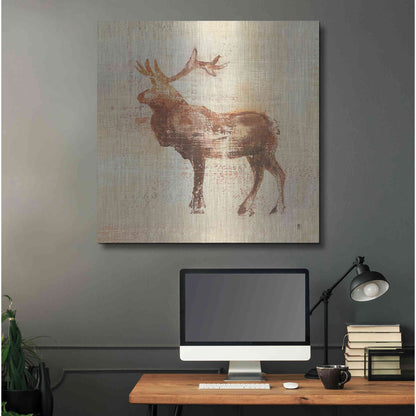 Luxe Metal Art 'Elk Study' by Studio Mousseau, Metal Wall Art,36x36