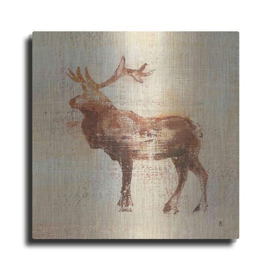 Luxe Metal Art 'Elk Study' by Studio Mousseau, Metal Wall Art