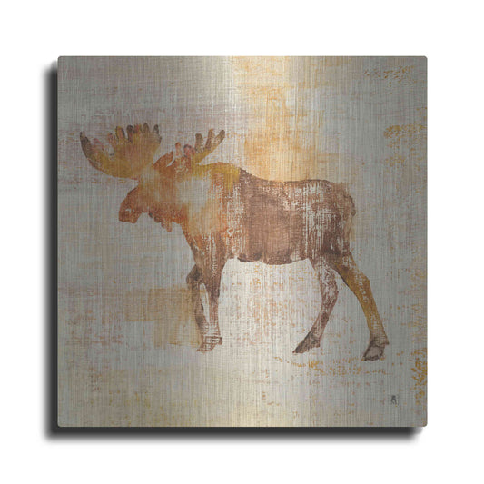 Luxe Metal Art 'Moose Study' by Studio Mousseau, Metal Wall Art