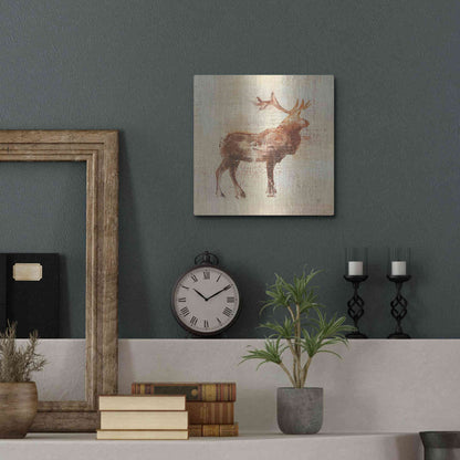 Luxe Metal Art 'Elk Study v2' by Studio Mousseau, Metal Wall Art,12x12