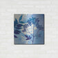 Luxe Metal Art 'Blue Sky Garden I' by Studio Mousseau, Metal Wall Art,24x24