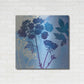 Luxe Metal Art 'Blue Sky Garden III' by Studio Mousseau, Metal Wall Art,36x36