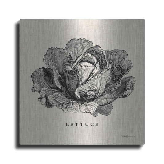 Luxe Metal Art 'Burlap Vegetable BW Sketch Lettuce' by Studio Mousseau, Metal Wall Art