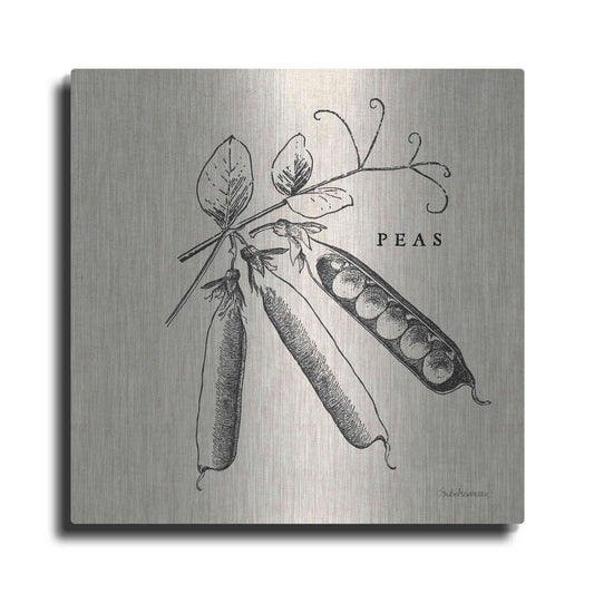 Luxe Metal Art 'Burlap Vegetable BW Sketch Peas' by Studio Mousseau, Metal Wall Art