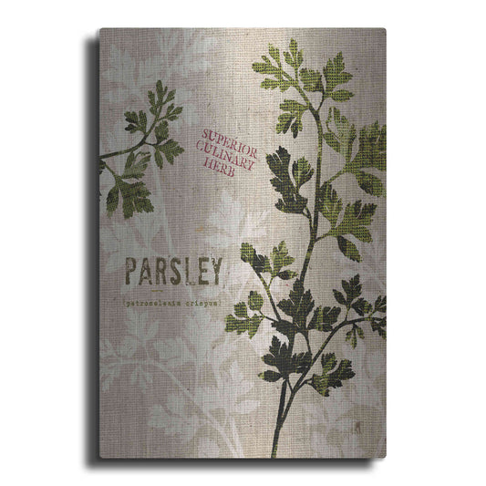 Luxe Metal Art 'Organic Parsley - Superior Culinary Herb' by Studio Mousseau, Metal Wall Art