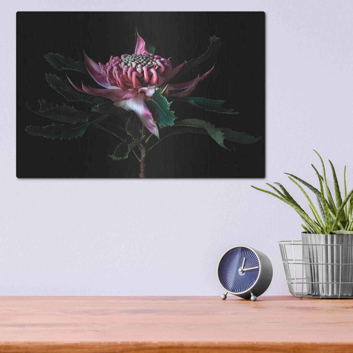 Luxe Metal Art 'Salmon Waratah I' by Elise Catterall, Metal Wall Art,16x12