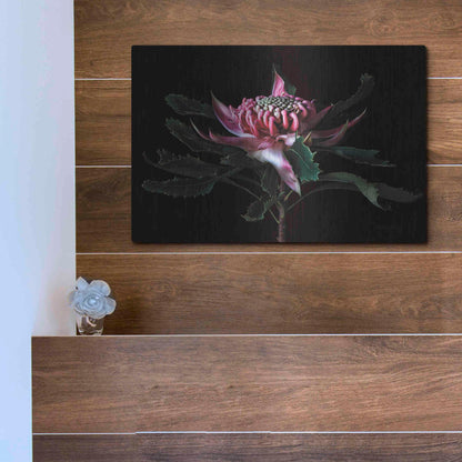 Luxe Metal Art 'Salmon Waratah I' by Elise Catterall, Metal Wall Art,16x12