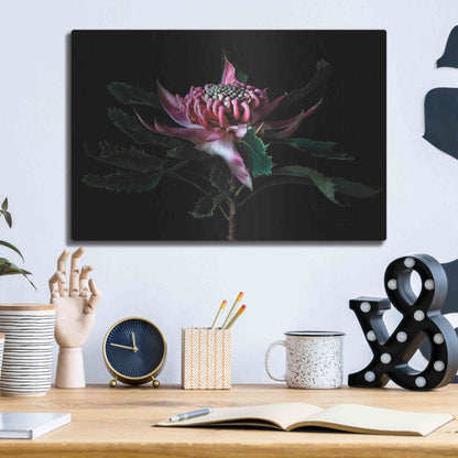 Luxe Metal Art 'Salmon Waratah I' by Elise Catterall, Metal Wall Art,16x12