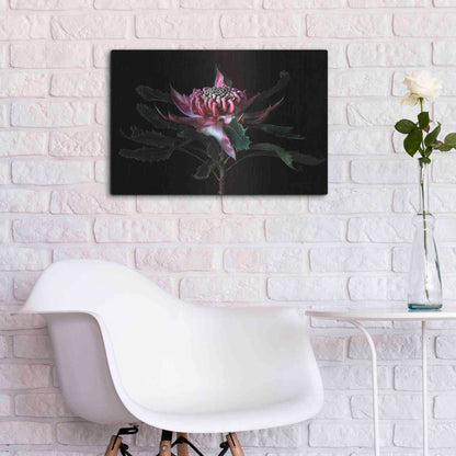 Luxe Metal Art 'Salmon Waratah I' by Elise Catterall, Metal Wall Art,24x16