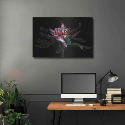 Luxe Metal Art 'Salmon Waratah I' by Elise Catterall, Metal Wall Art,36x24