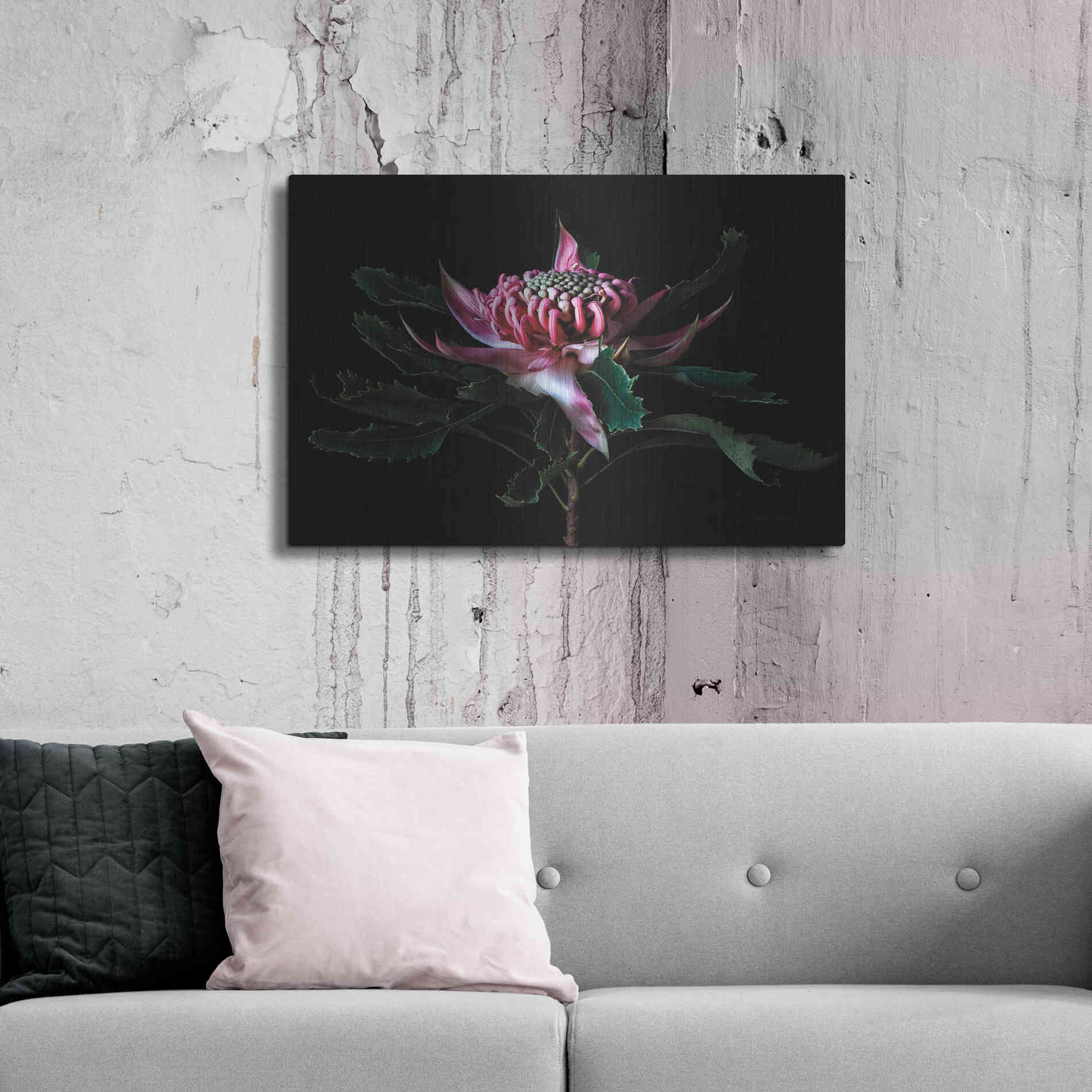 Luxe Metal Art 'Salmon Waratah I' by Elise Catterall, Metal Wall Art,36x24