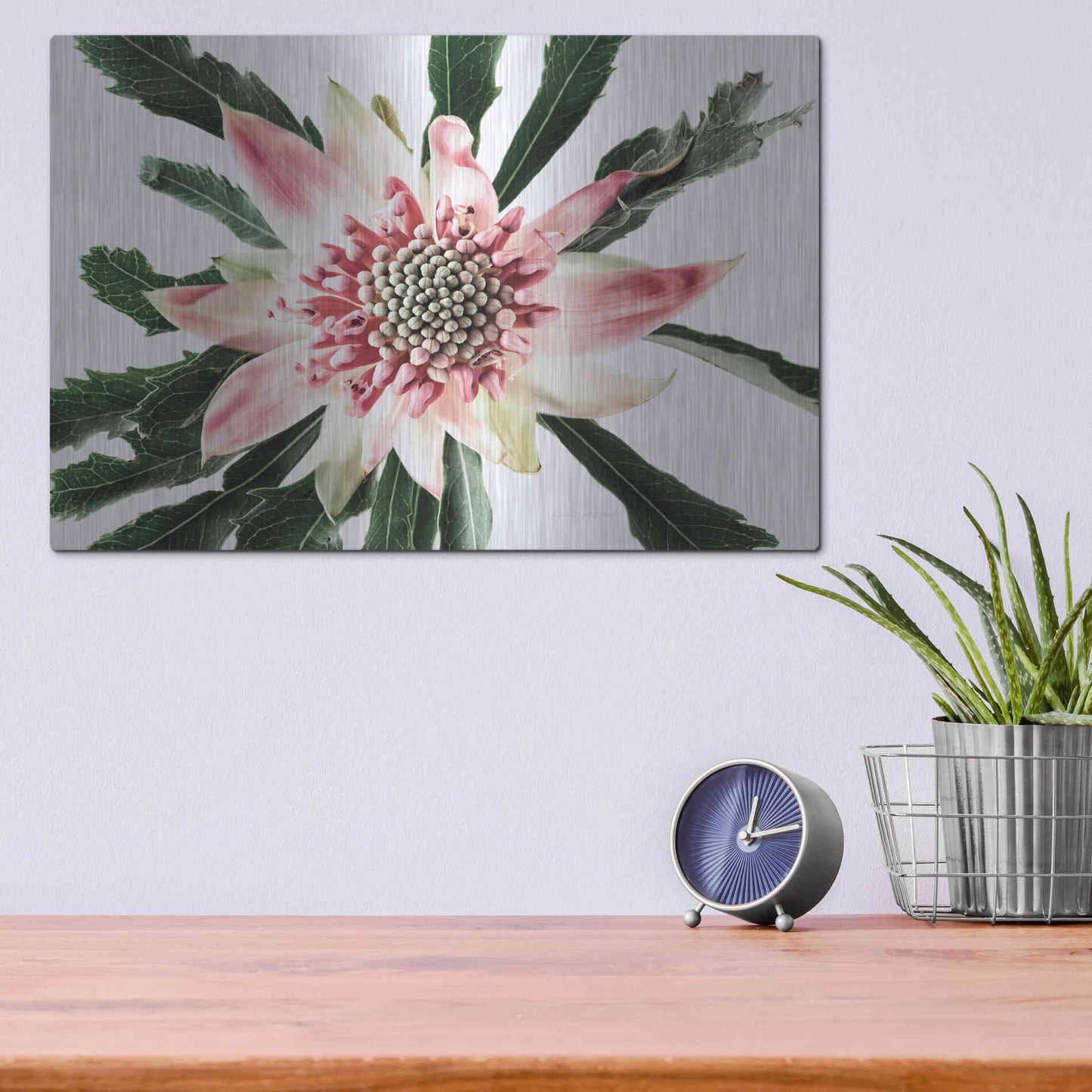 Luxe Metal Art 'Salmon Waratah III' by Elise Catterall, Metal Wall Art,16x12