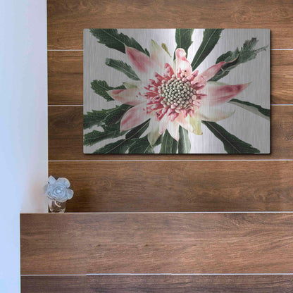 Luxe Metal Art 'Salmon Waratah III' by Elise Catterall, Metal Wall Art,16x12