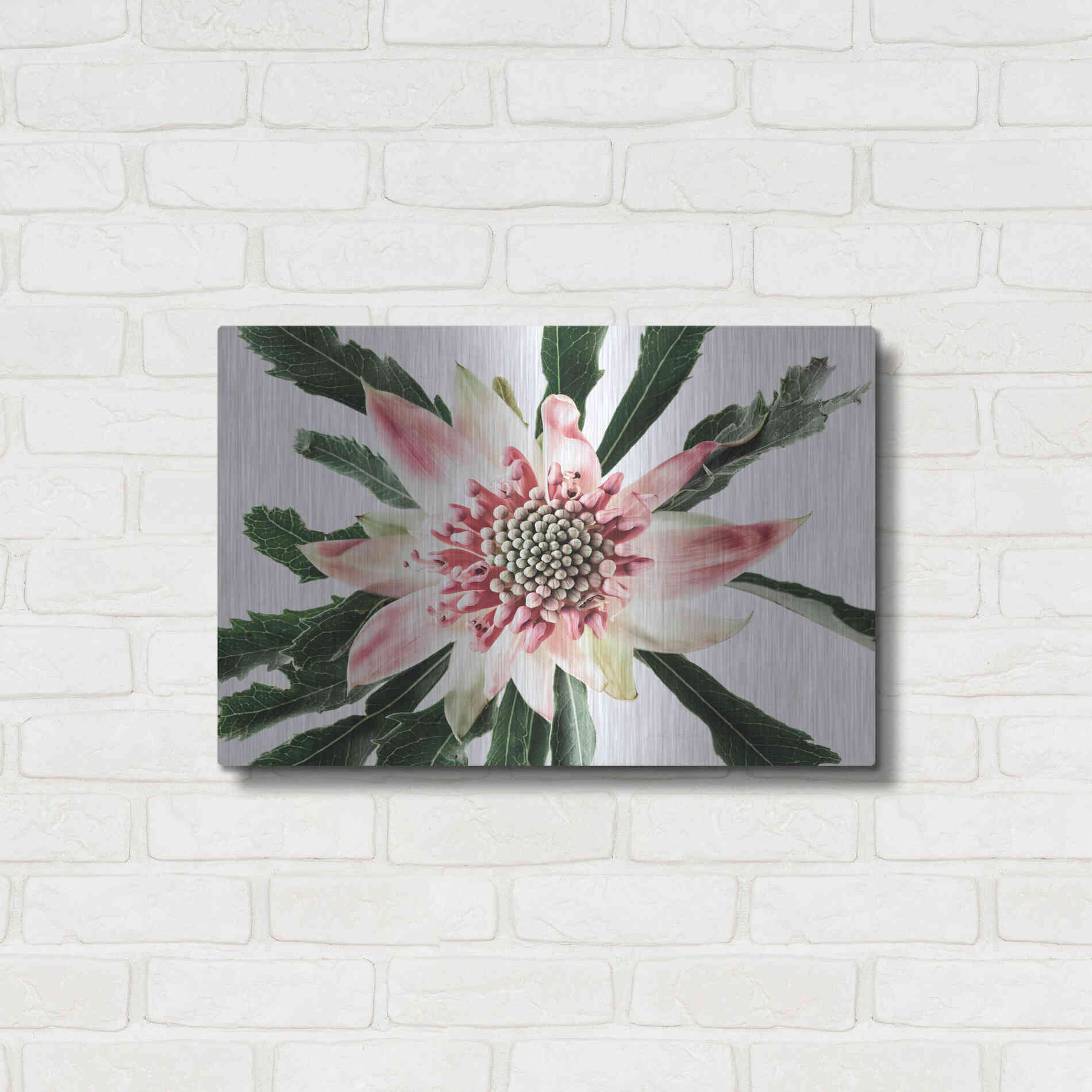 Luxe Metal Art 'Salmon Waratah III' by Elise Catterall, Metal Wall Art,24x16