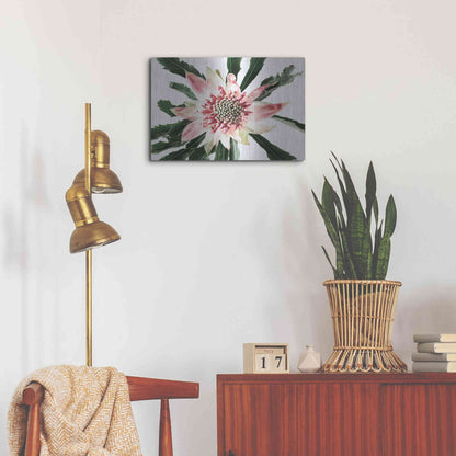 Luxe Metal Art 'Salmon Waratah III' by Elise Catterall, Metal Wall Art,24x16