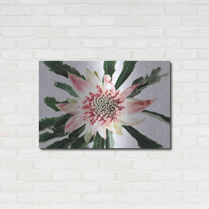 Luxe Metal Art 'Salmon Waratah III' by Elise Catterall, Metal Wall Art,36x24