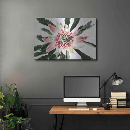 Luxe Metal Art 'Salmon Waratah III' by Elise Catterall, Metal Wall Art,36x24