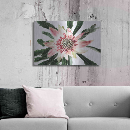 Luxe Metal Art 'Salmon Waratah III' by Elise Catterall, Metal Wall Art,36x24