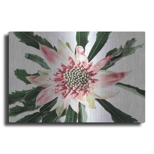 Luxe Metal Art 'Salmon Waratah III' by Elise Catterall, Metal Wall Art