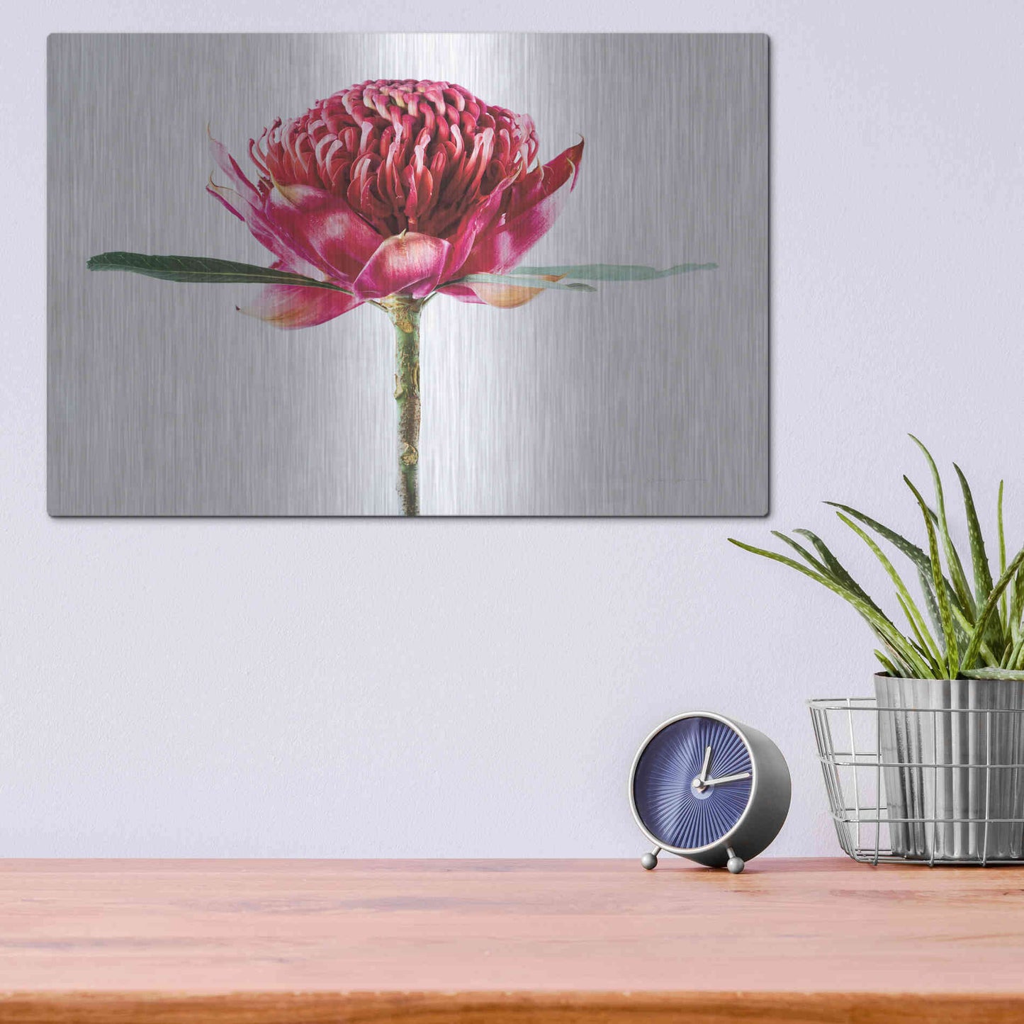 Luxe Metal Art 'Waratah Flower' by Elise Catterall, Metal Wall Art,16x12