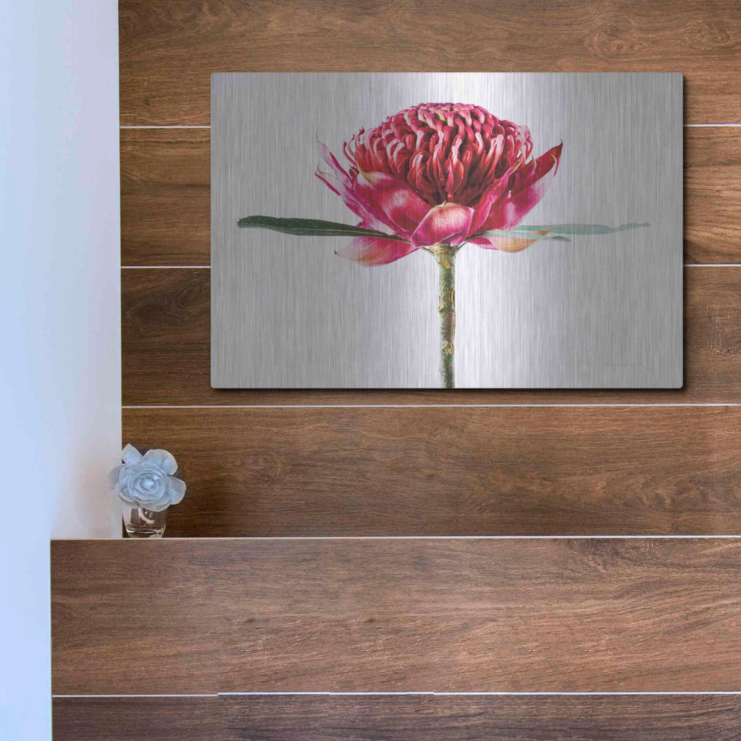 Luxe Metal Art 'Waratah Flower' by Elise Catterall, Metal Wall Art,16x12