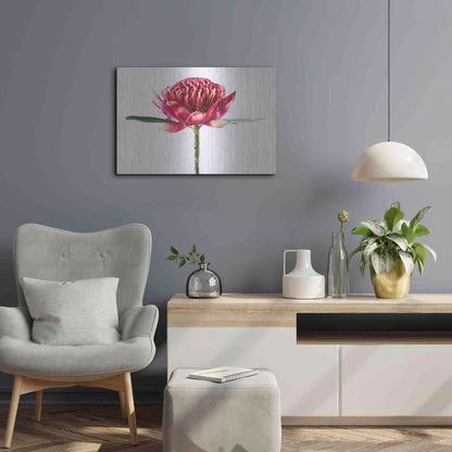 Luxe Metal Art 'Waratah Flower' by Elise Catterall, Metal Wall Art,24x16