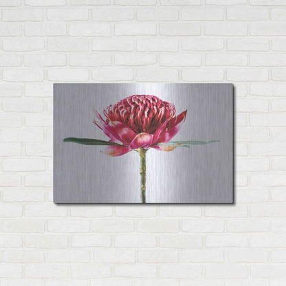 Luxe Metal Art 'Waratah Flower' by Elise Catterall, Metal Wall Art,36x24