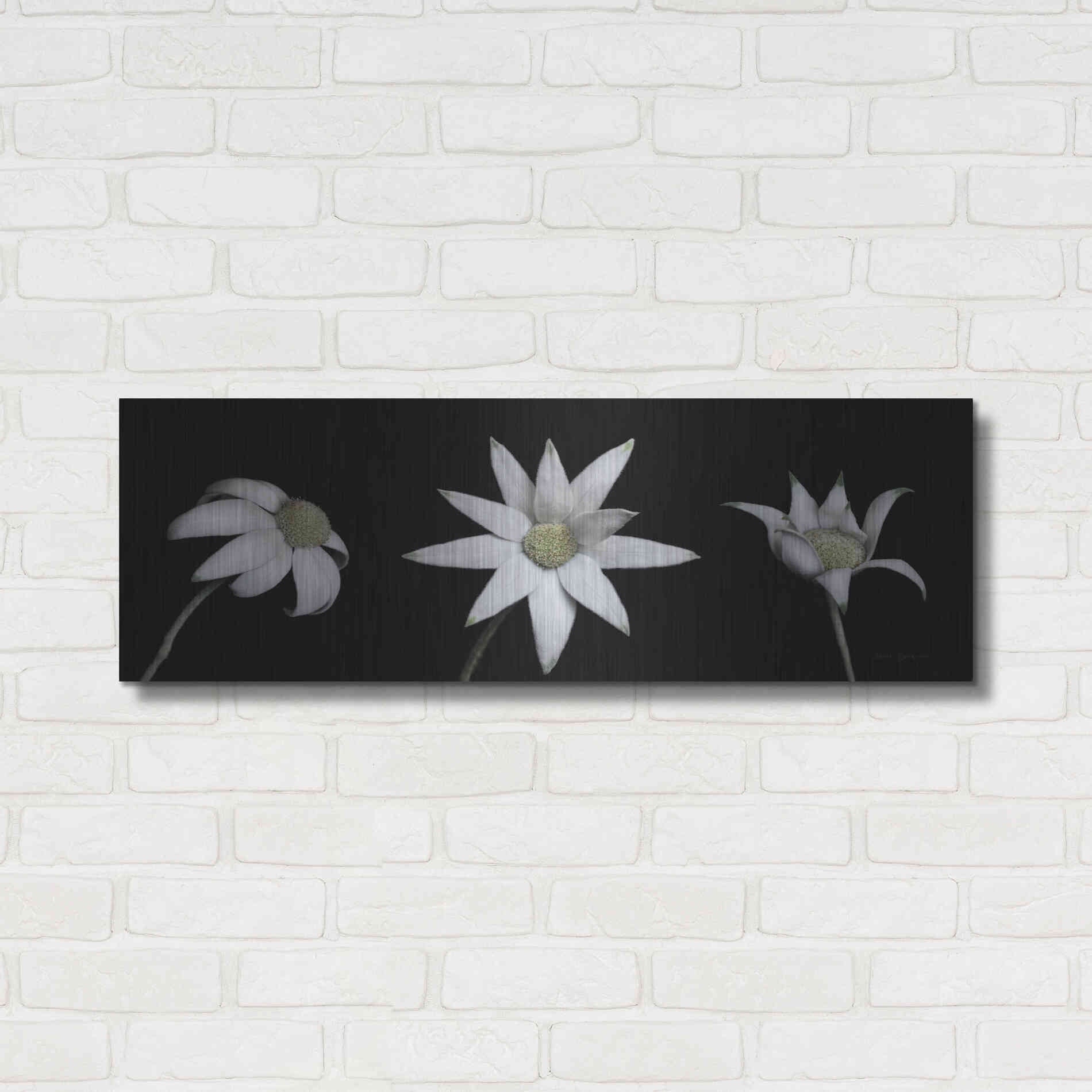 Luxe Metal Art 'Flannel Flower Trio' by Elise Catterall, Metal Wall Art,36x12