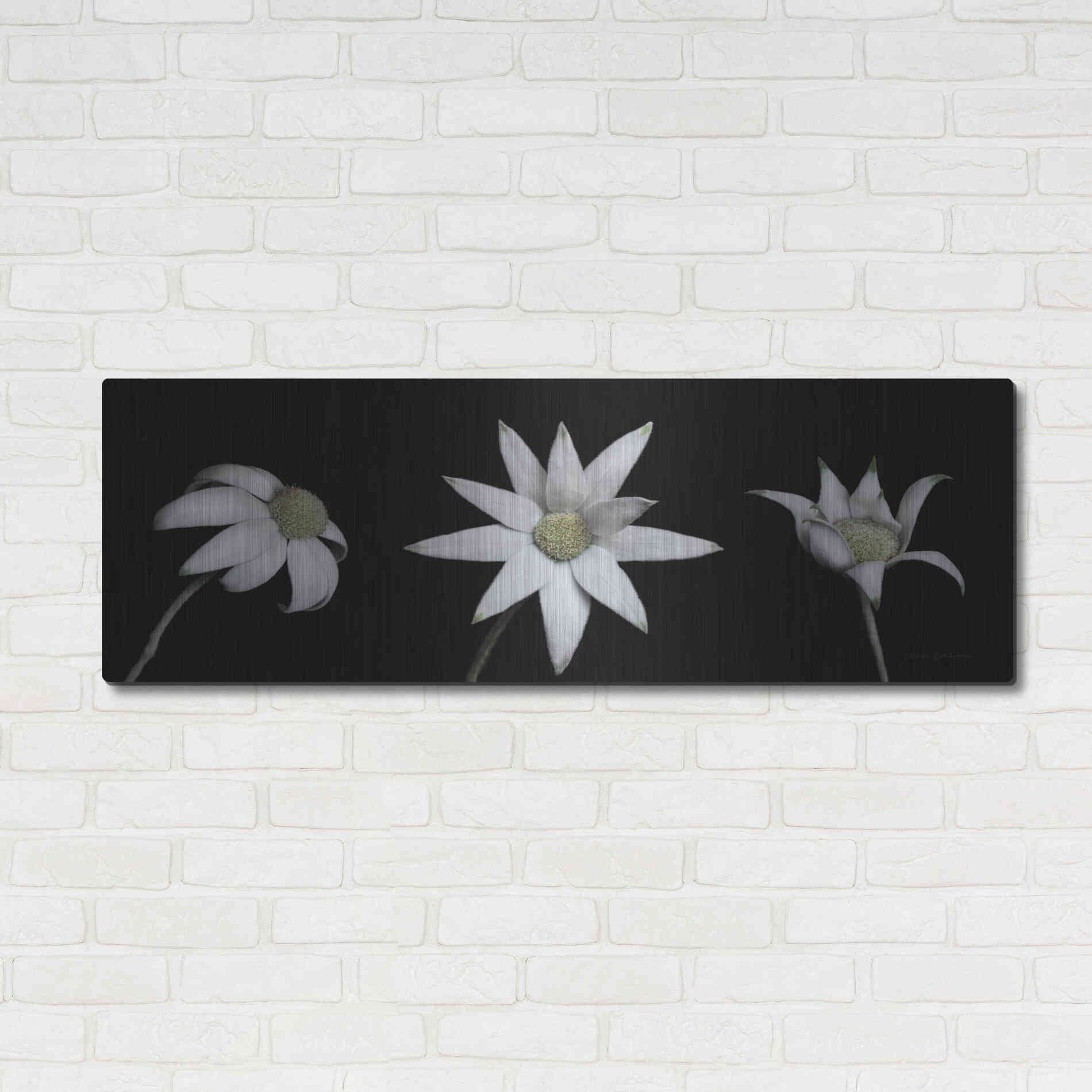 Luxe Metal Art 'Flannel Flower Trio' by Elise Catterall, Metal Wall Art,48x16