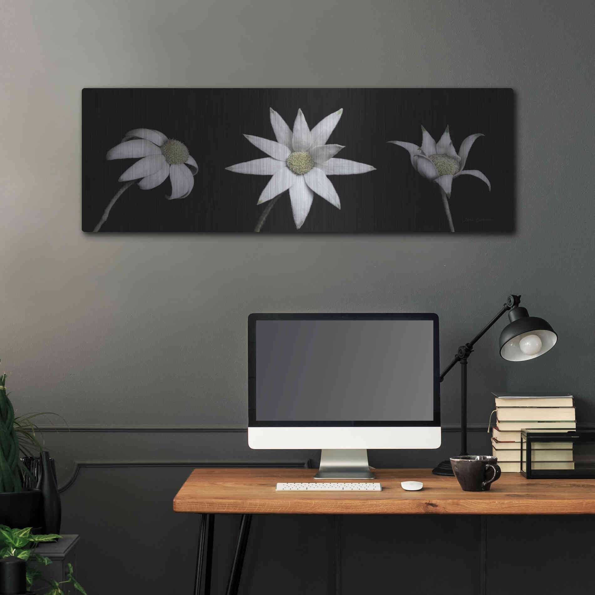 Luxe Metal Art 'Flannel Flower Trio' by Elise Catterall, Metal Wall Art,48x16