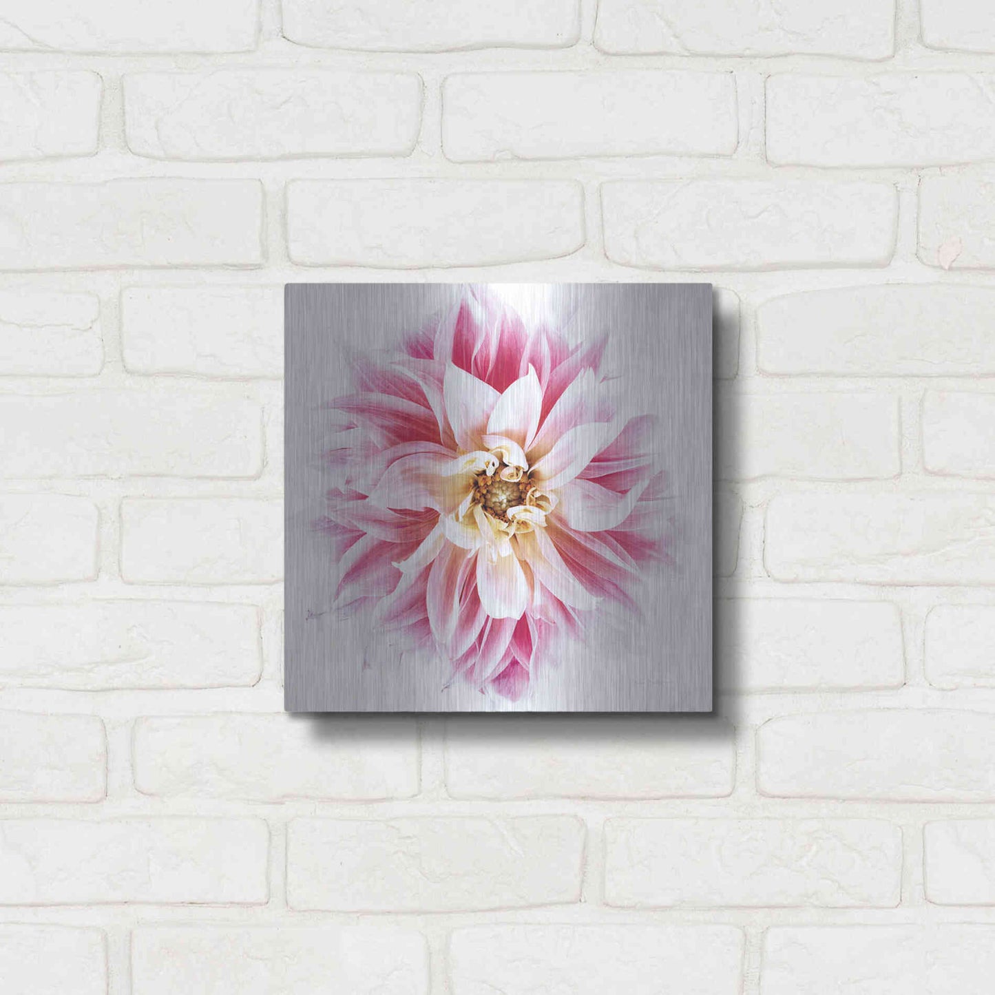 Luxe Metal Art 'Pink Dahlia' by Elise Catterall, Metal Wall Art,12x12