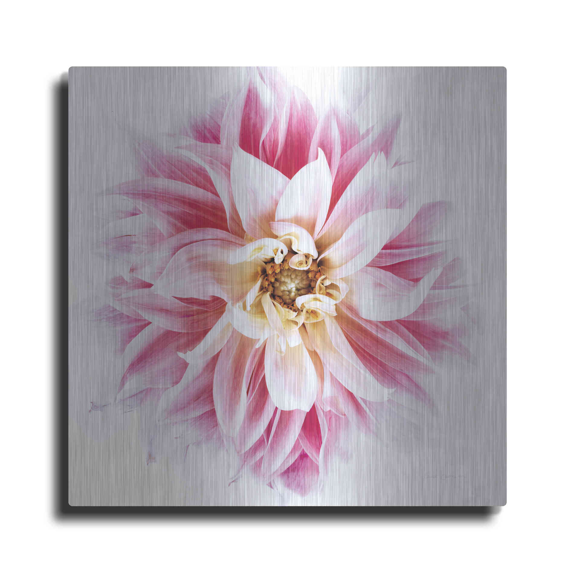 Luxe Metal Art 'Pink Dahlia' by Elise Catterall, Metal Wall Art