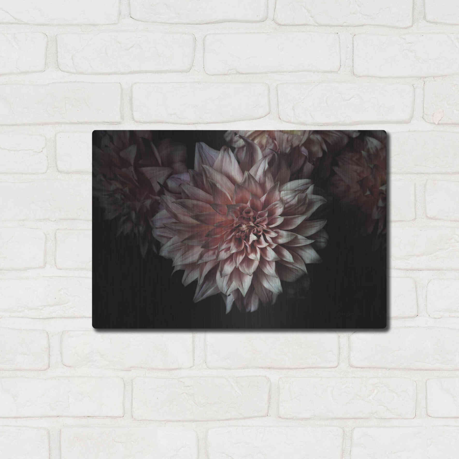 Luxe Metal Art 'Peach Dahlias' by Elise Catterall, Metal Wall Art,16x12