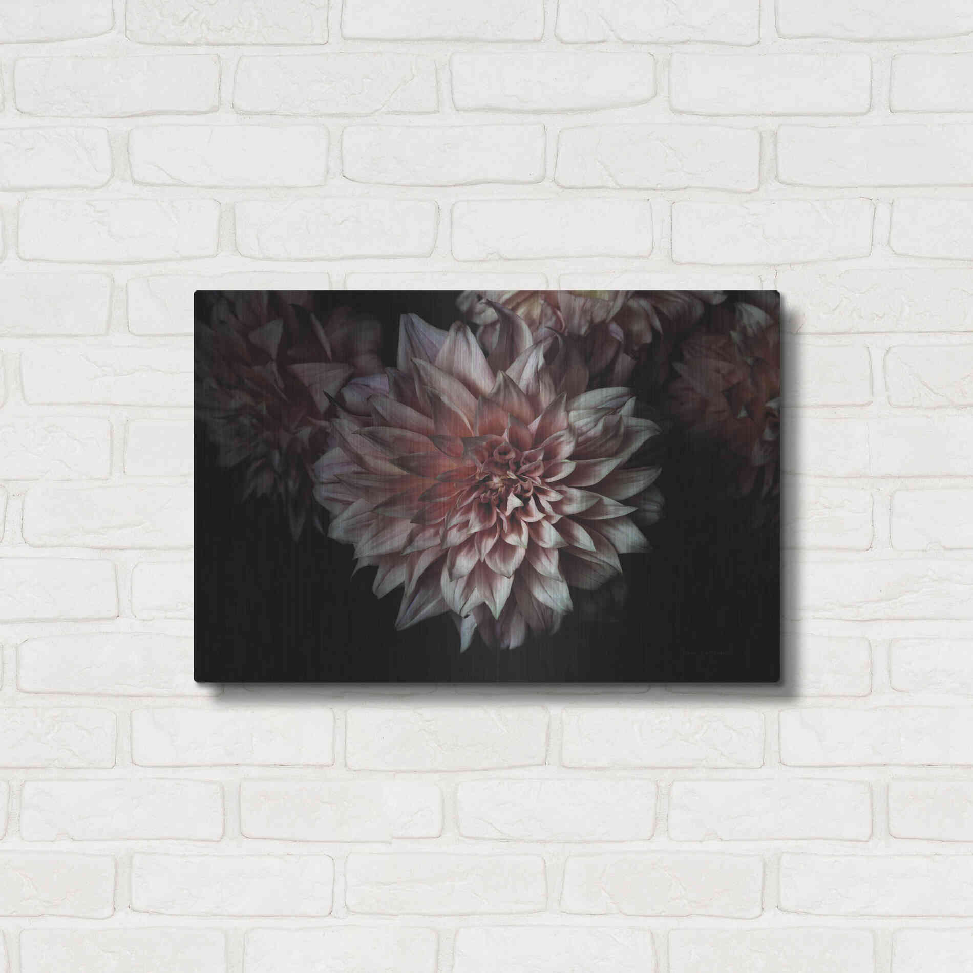 Luxe Metal Art 'Peach Dahlias' by Elise Catterall, Metal Wall Art,24x16