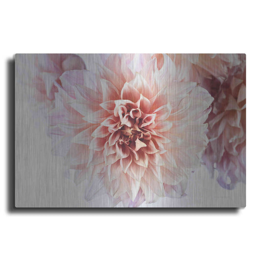 Luxe Metal Art 'Peach Dahlias Light' by Elise Catterall, Metal Wall Art