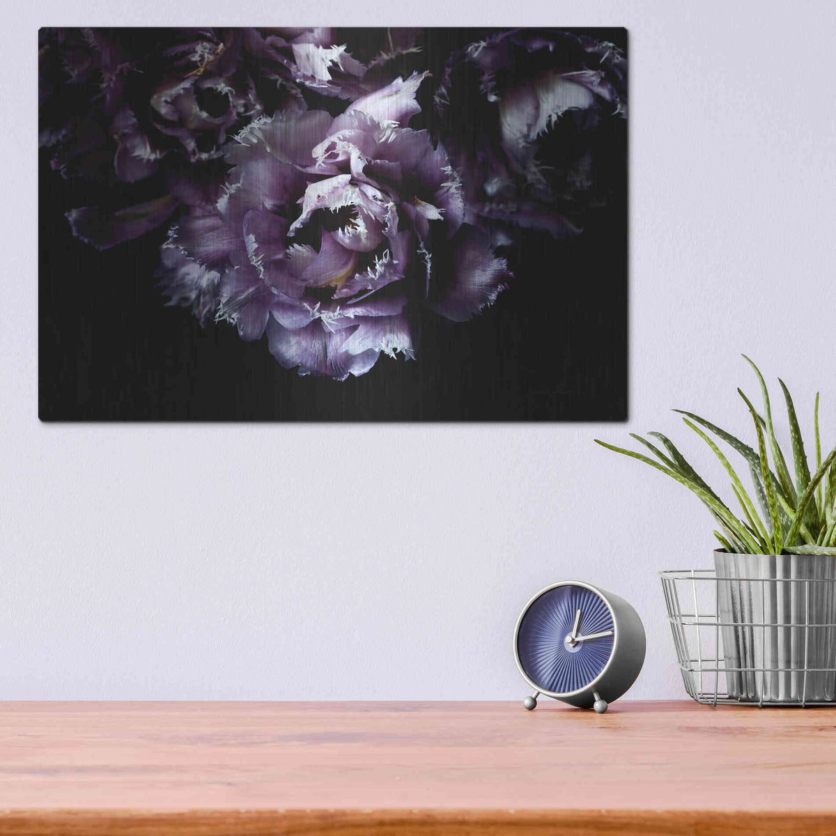 Luxe Metal Art 'Purple Fringed Tulips II' by Elise Catterall, Metal Wall Art,16x12