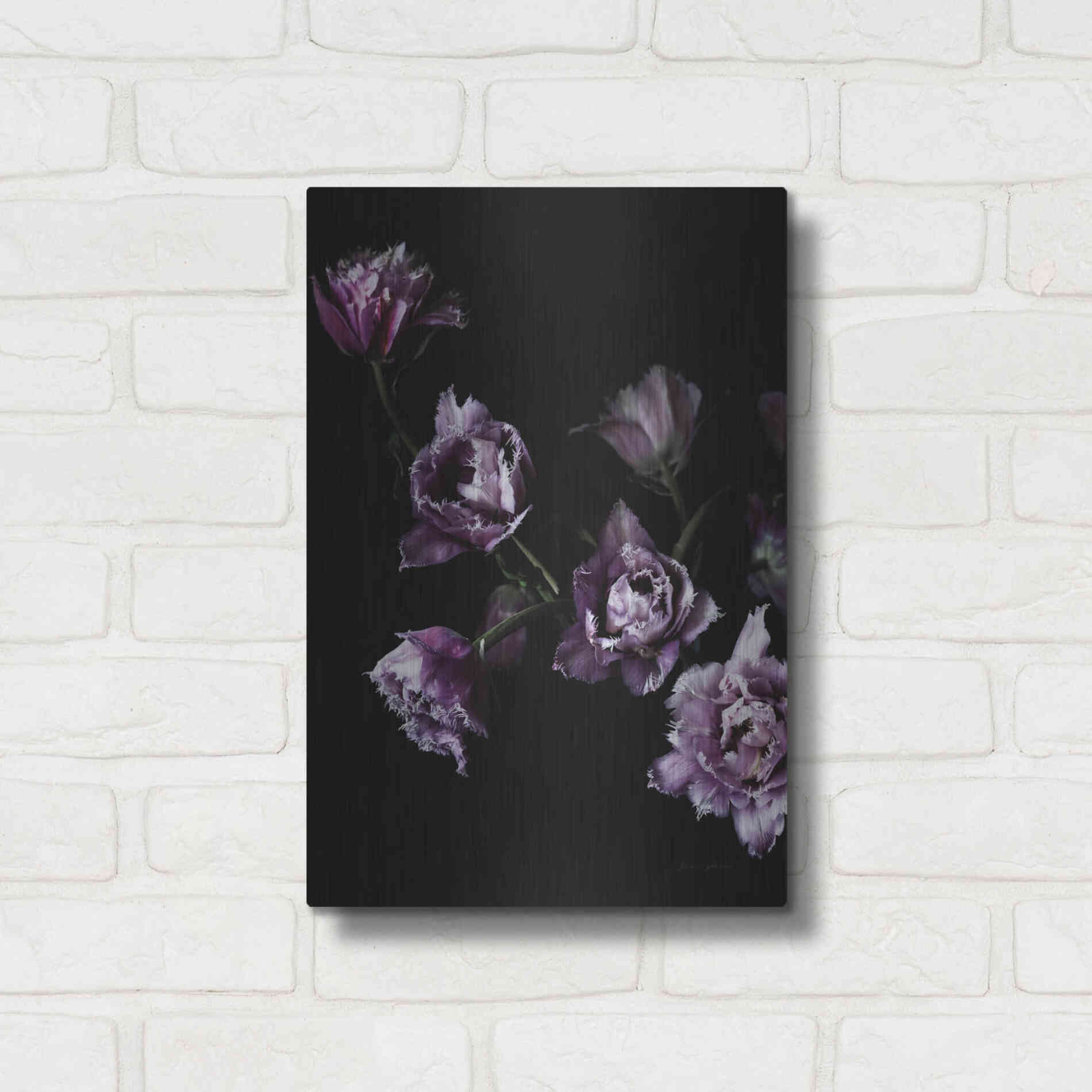 Luxe Metal Art 'Purple Fringed Tulips III' by Elise Catterall, Metal Wall Art,12x16