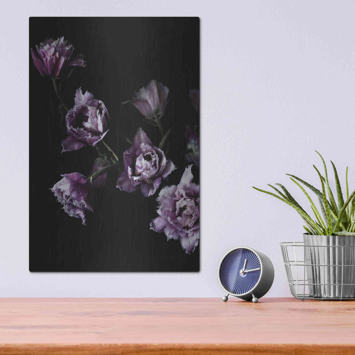 Luxe Metal Art 'Purple Fringed Tulips III' by Elise Catterall, Metal Wall Art,12x16