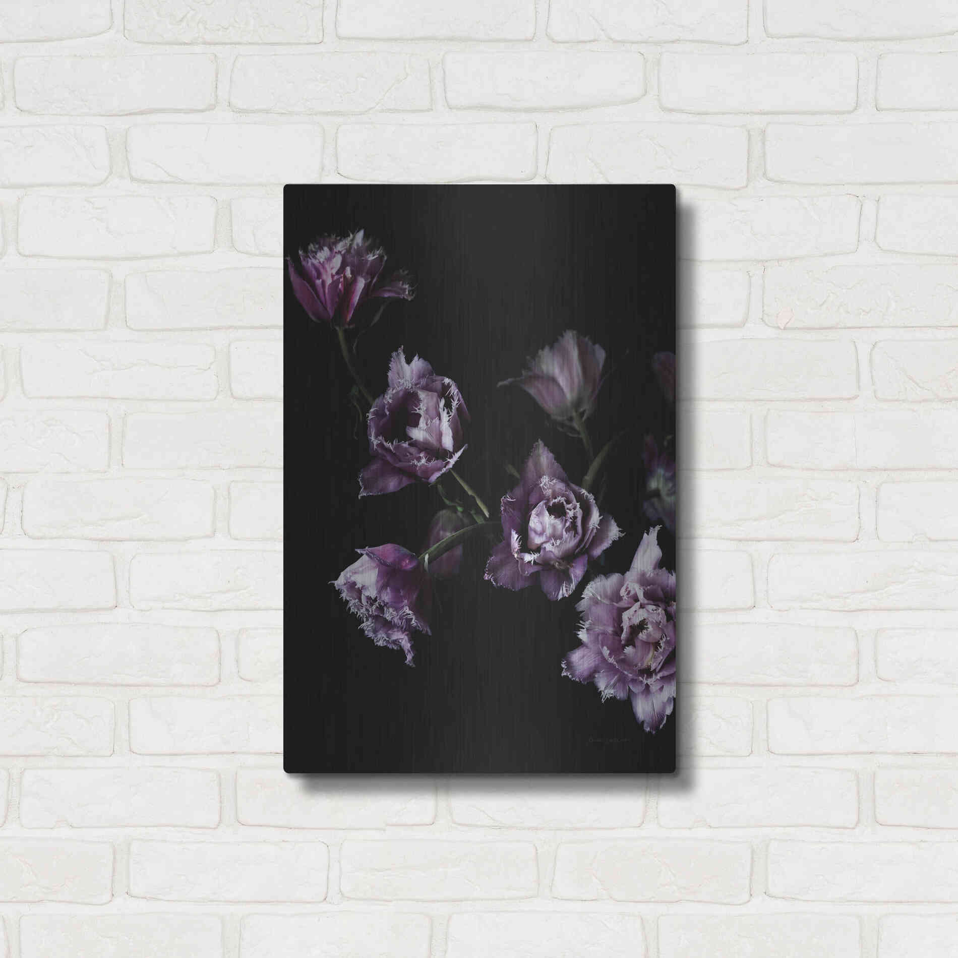 Luxe Metal Art 'Purple Fringed Tulips III' by Elise Catterall, Metal Wall Art,16x24