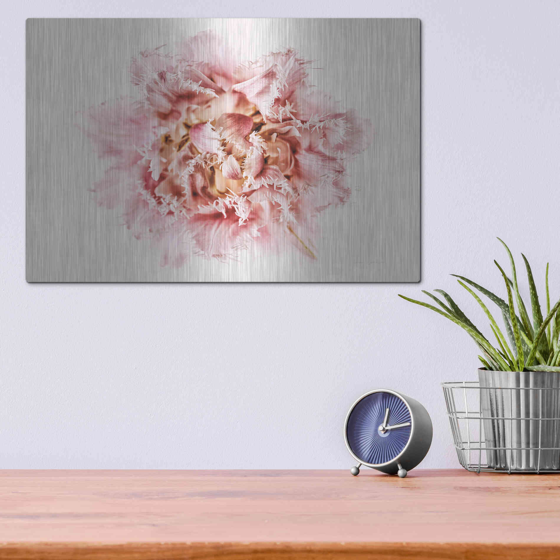 Luxe Metal Art 'Pink Fringed Tulip' by Elise Catterall, Metal Wall Art,16x12