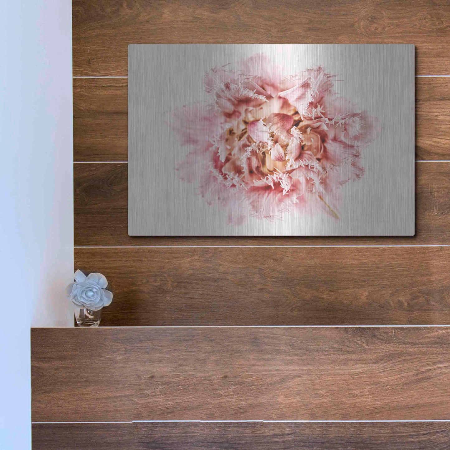 Luxe Metal Art 'Pink Fringed Tulip' by Elise Catterall, Metal Wall Art,16x12