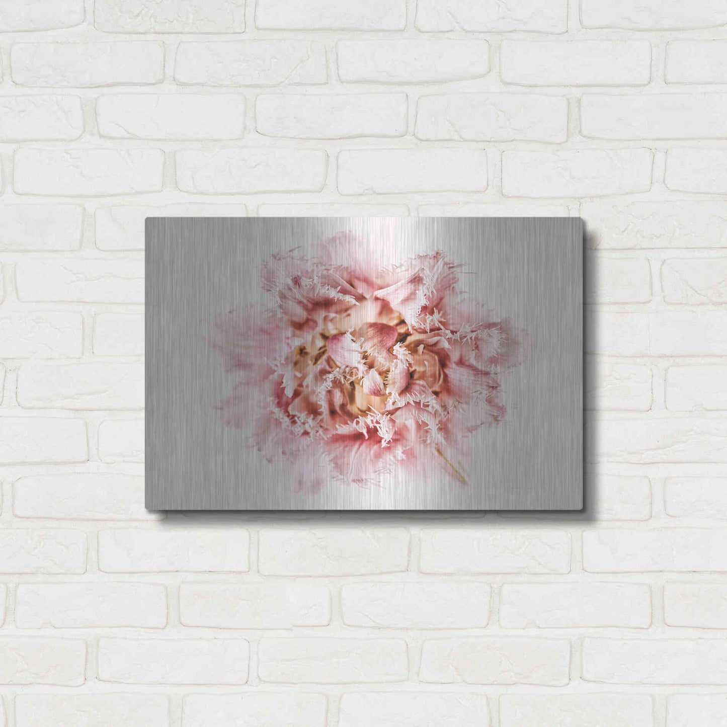 Luxe Metal Art 'Pink Fringed Tulip' by Elise Catterall, Metal Wall Art,24x16