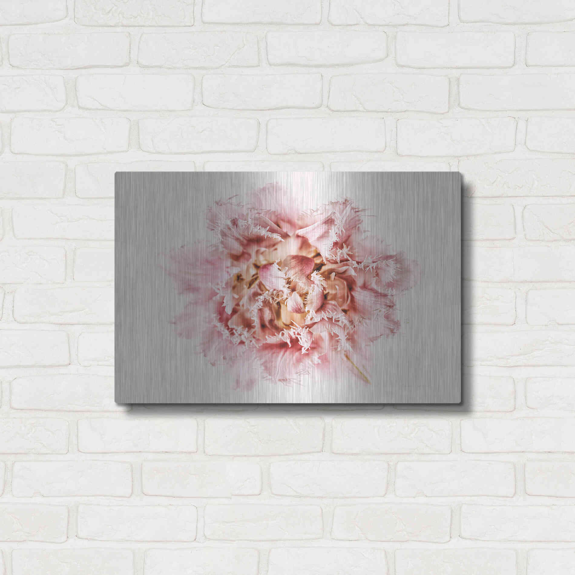 Luxe Metal Art 'Pink Fringed Tulip' by Elise Catterall, Metal Wall Art,24x16