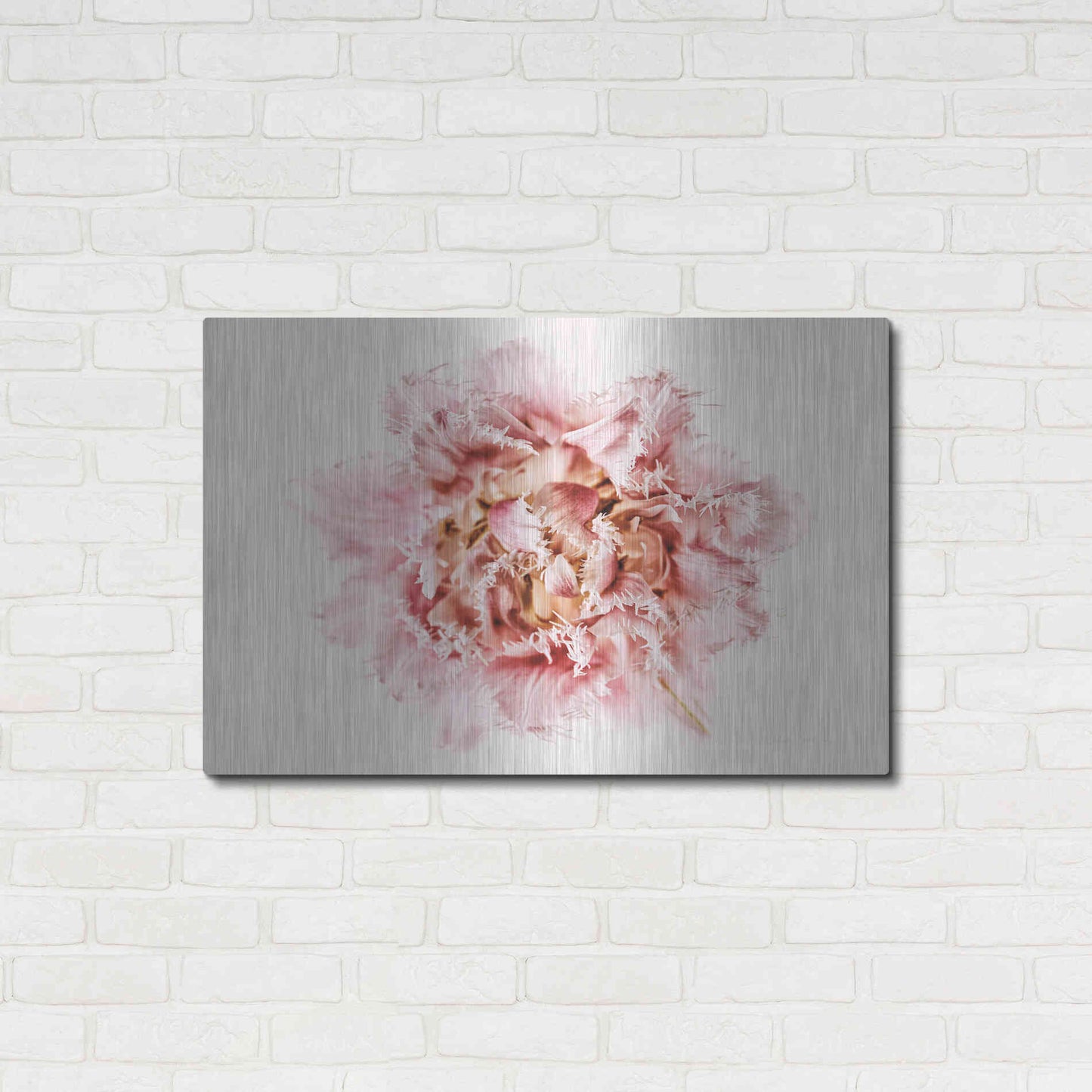 Luxe Metal Art 'Pink Fringed Tulip' by Elise Catterall, Metal Wall Art,36x24