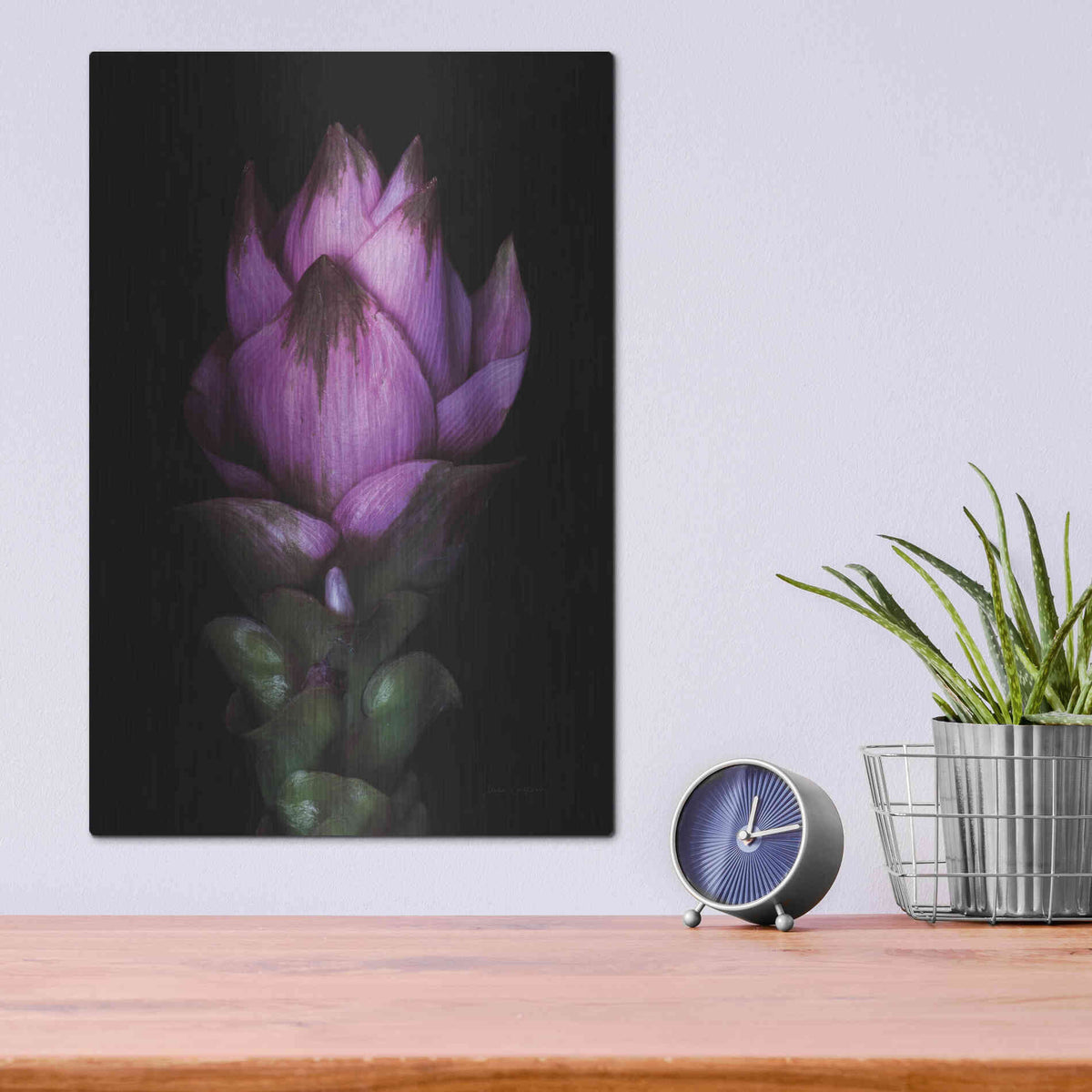 Luxe Metal Art 'Siam Tulip' by Elise Catterall, Metal Wall Art,12x16