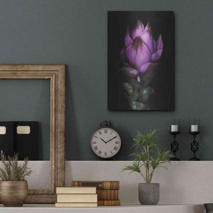 Luxe Metal Art 'Siam Tulip' by Elise Catterall, Metal Wall Art,12x16